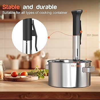 The Anova Sous Vide WiFi Precision Cooker Pro: Master Your Culinary Domain