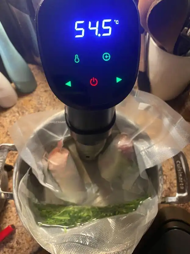 Master Your Kitchen: Unlocking the Potential of a Slow Cooker Sous Vide Combo