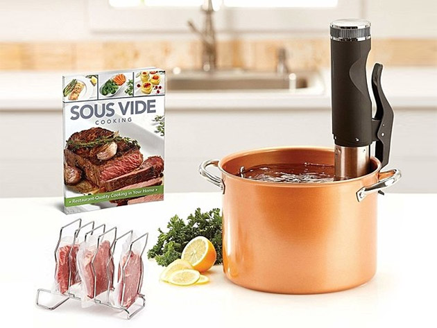 The Savvy Chef’s Guide: Best Sous Vide Cooker Under $100